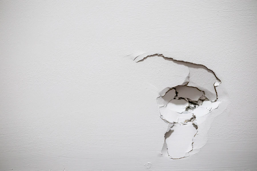 Common Drywall Issues That Require Professional Repair in Houston, TX